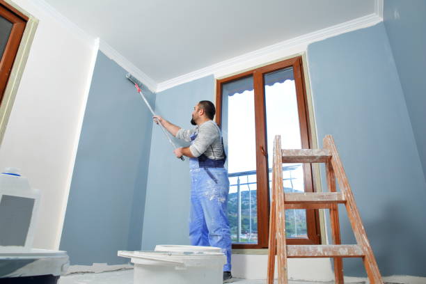 Best Basement Mold Removal  in Bowling Green, FL