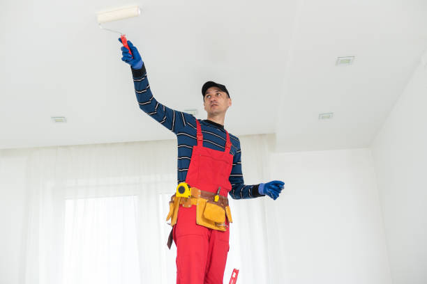 Best Black Mold Removal  in Bowling Green, FL